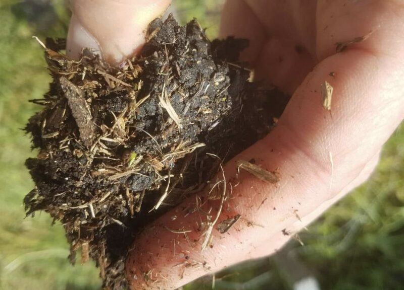 Watch: The Amazing Universe that is Soil and Why It Matters!