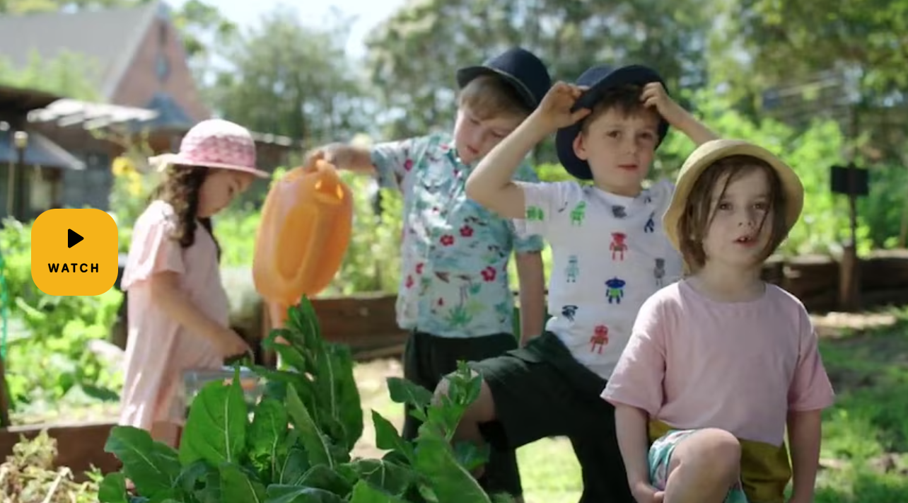 Watch: Food Scraps Friday with Teachers’ notes (ABC Kids)