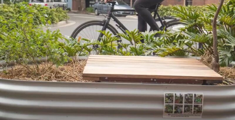 Watch: Sustainable Chippendale Verge Gardens