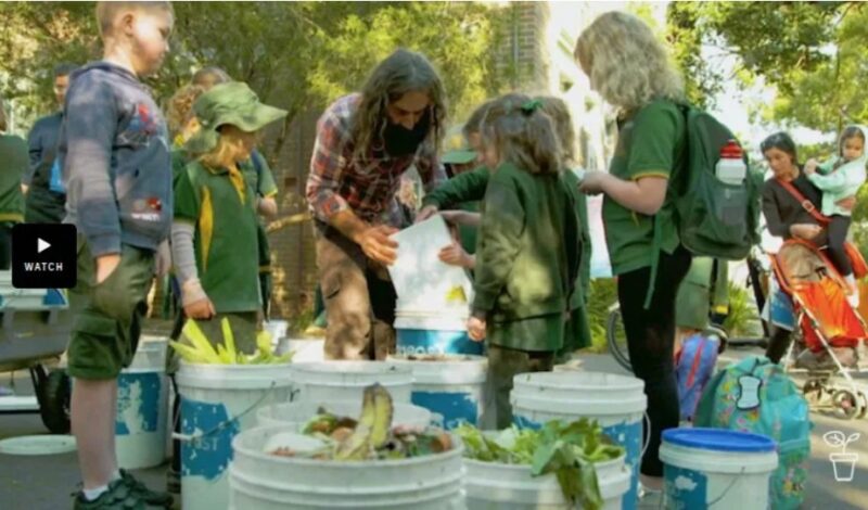 Watch: Food Scrap Friday at Camdenville Public School featured on Gardening Australia