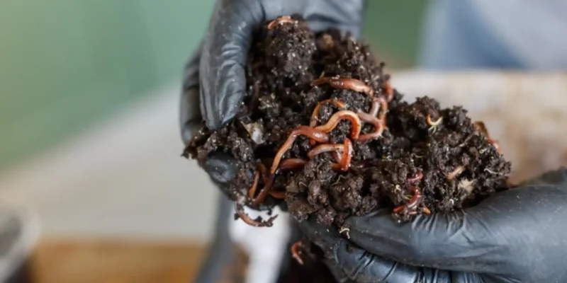 0001-57910770027280048