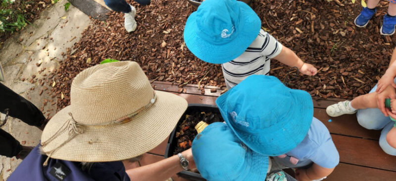 Kids in blue sunhats looking down into compost, supervised by an adult