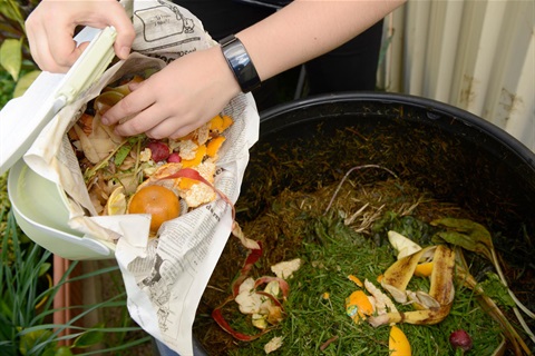 A hand scraping chopped food scraps out of a caddy and into the top of a compost bin