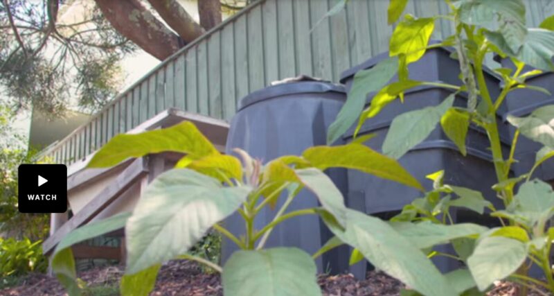 Watch: Compost Collective featured on Gardening Australia