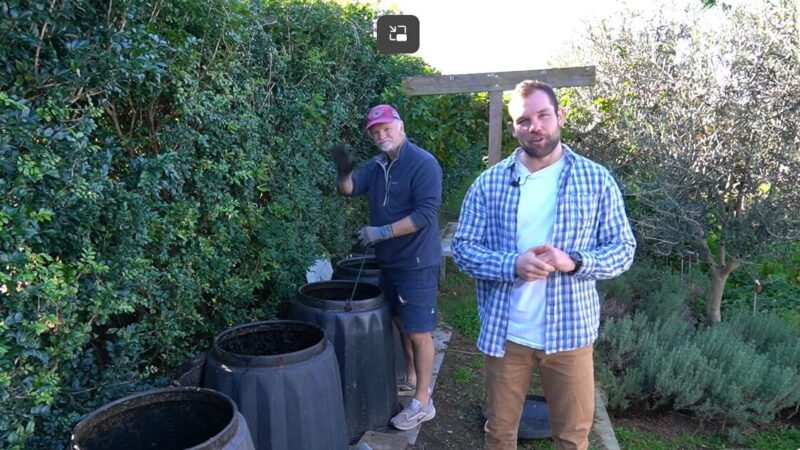 Watch: Curly Community Garden’s video for its users