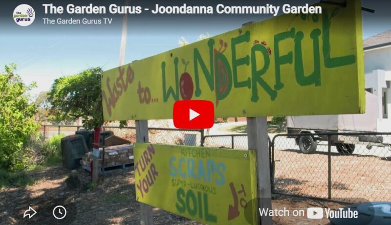Watch: Composting and worm farming at Joondanna Community Garden, WA