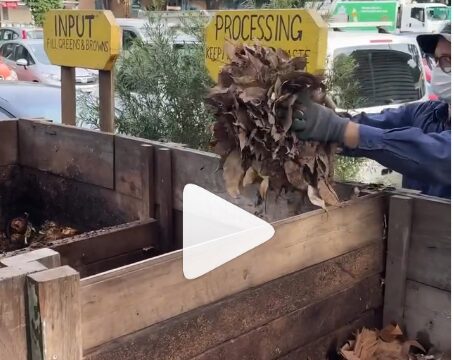 Watch: Hot composting C:N ratios
